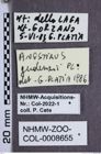 Etiketten zu Anostirus gudenzii (NHMW-ZOO-COL-0008655)